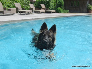 Ik ik kan goed zwemmen hoor!